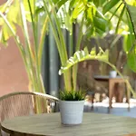 Apartmán Rural Azucena Only Adults Conil De La Frontera