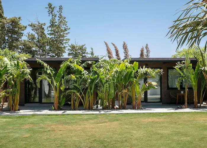 Lägenhet Rural Azucena Only Adults Conil De La Frontera