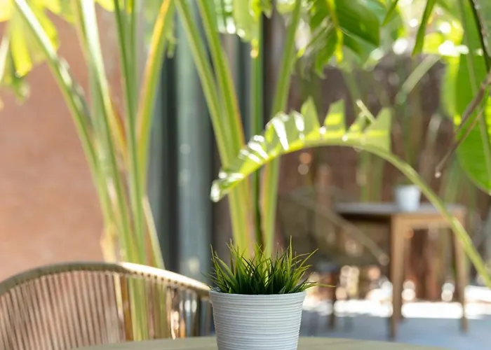 Апартаменты Rural Azucena Only Adults Кониль-де-ла-Фронтера