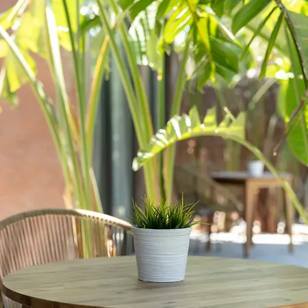 Appartamento Rural Azucena Only Adults Conil De La Frontera