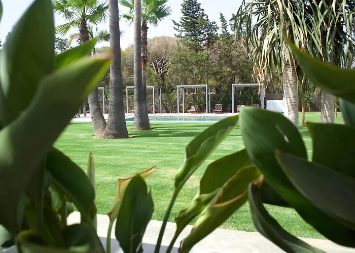 Rural Azucena Only Adults Daire